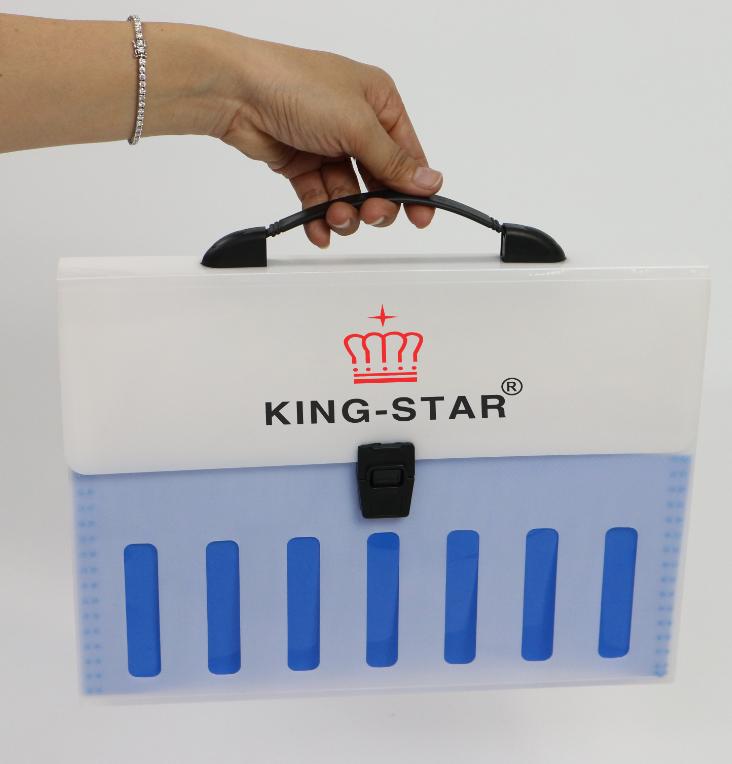 Cặp 12 ngăn F9067