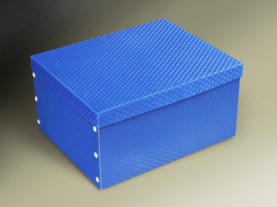 Hộp lưu trữ trung