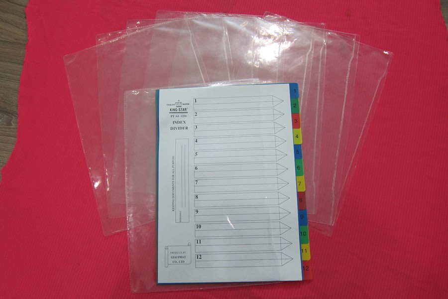 Túi hồ sơ nhựa dẻo 2 ngăn 